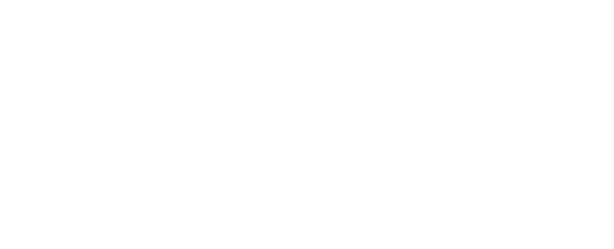 wraithesportslogowhite